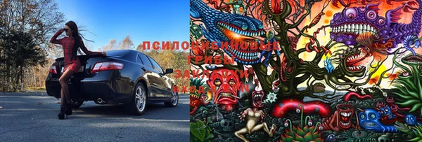 стафф Киреевск