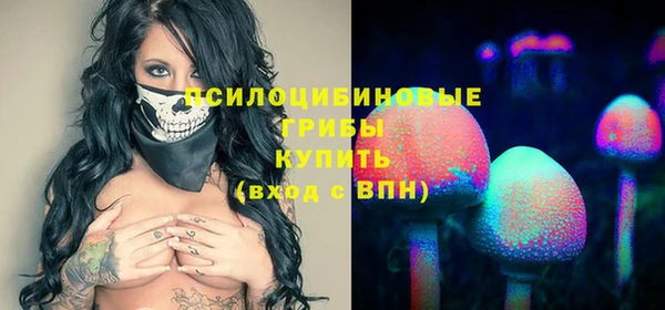 стафф Киреевск